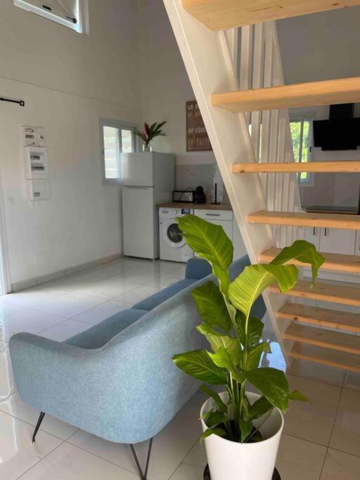 Villa Les Oiseaux D'Amour サンタンヌ エクステリア 写真